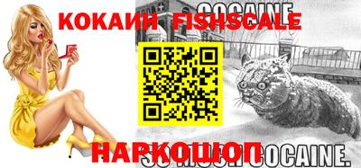 гашик Кимры