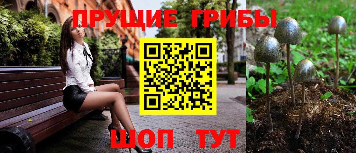 Галлюциногенные грибы прущие грибы  Псилоцибиновые грибы Cubensis  Вход с VPN  Хасавюрт 