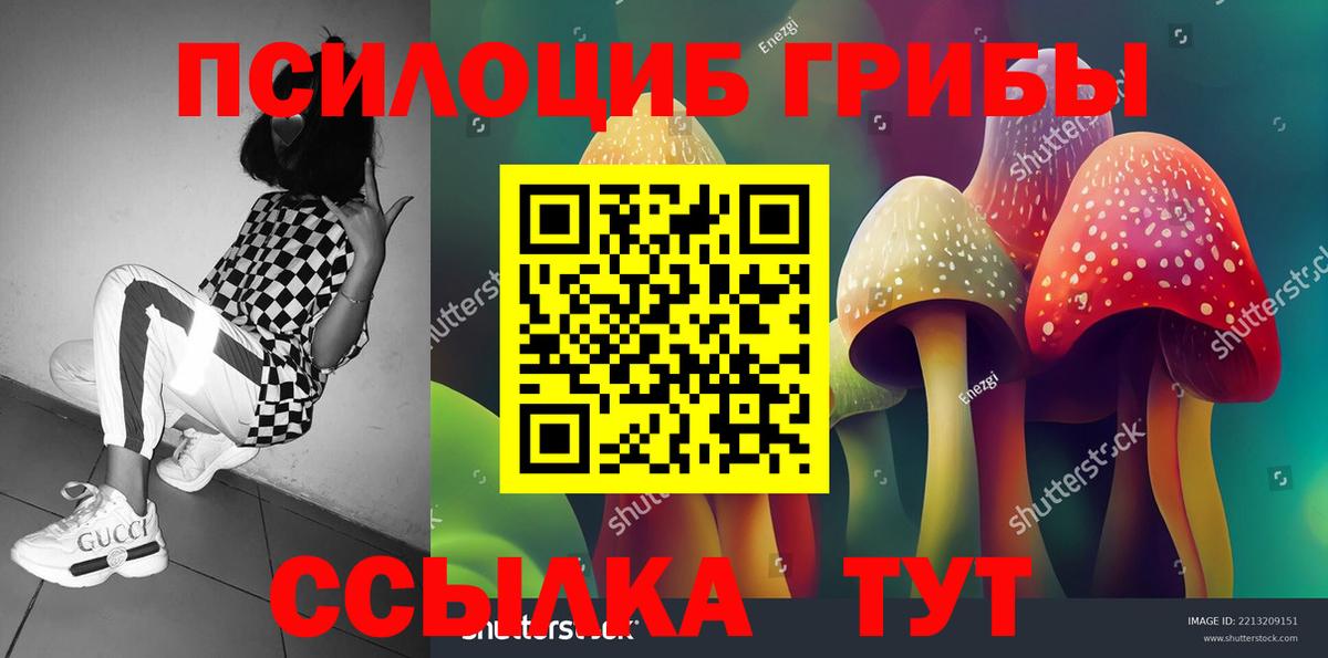 Псилоцибиновые грибы Psilocybine cubensis Хасавюрт
